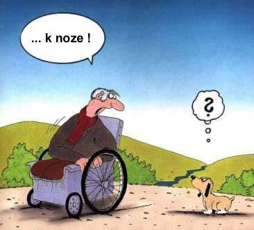 chudák pes